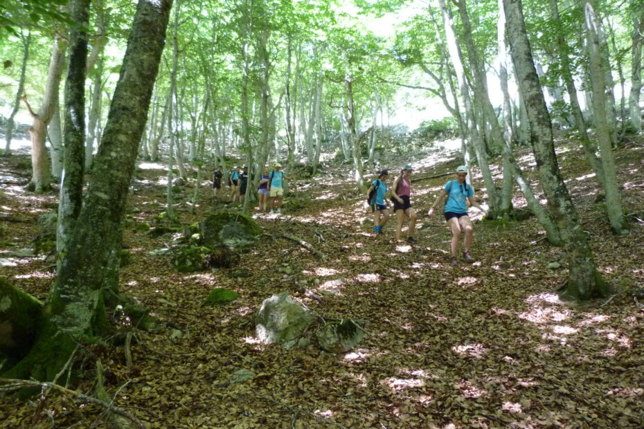 Parteluz viaje del Héroe