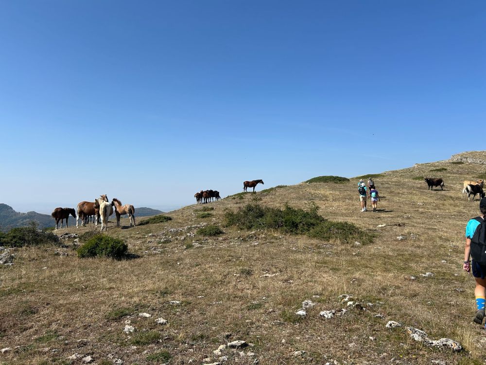 Parteluz viaje del Héroe