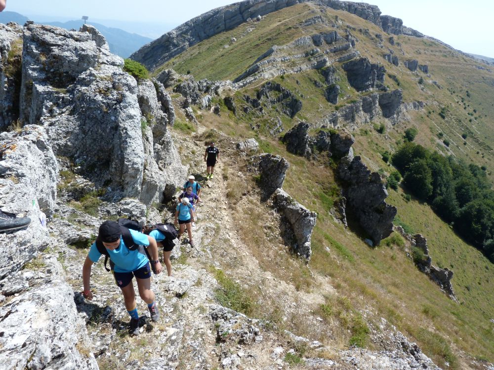 Parteluz Viaje del Héroe