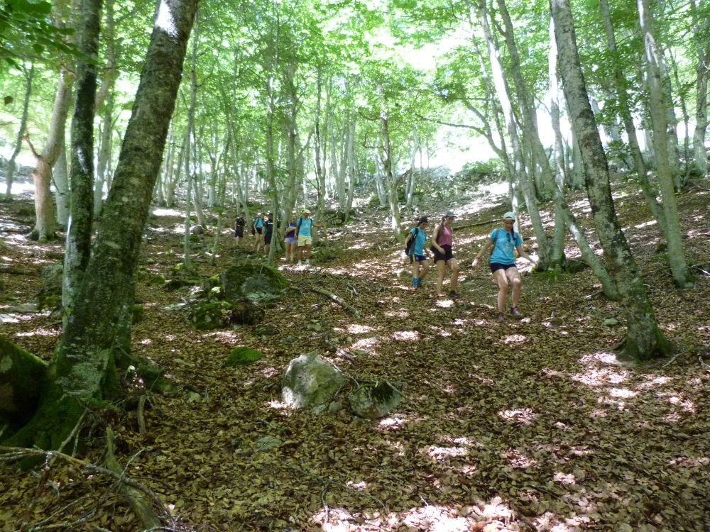 Parteluz Viaje del Héroe