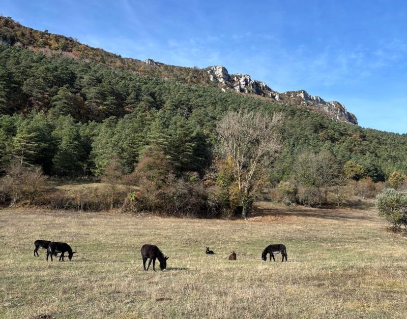 El viaje del héroe - Asociación Juvenil Parteluz Burgos