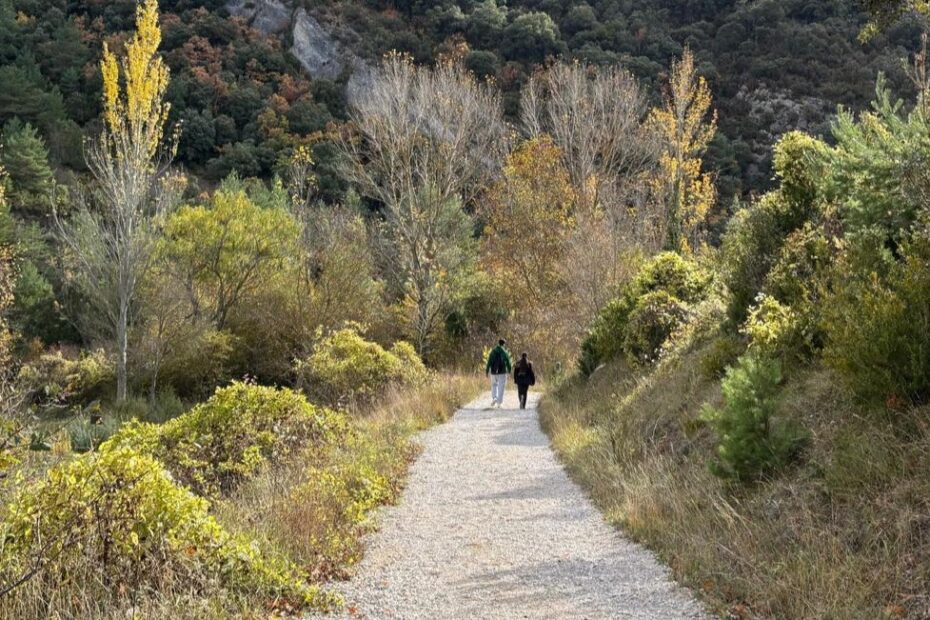El viaje del héroe - Asociación Juvenil Parteluz Burgos
